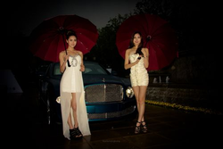 cloudmeadow繁殖和clotheraser软件主界面展示